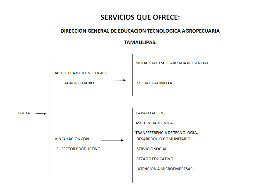 servicios_dgeta