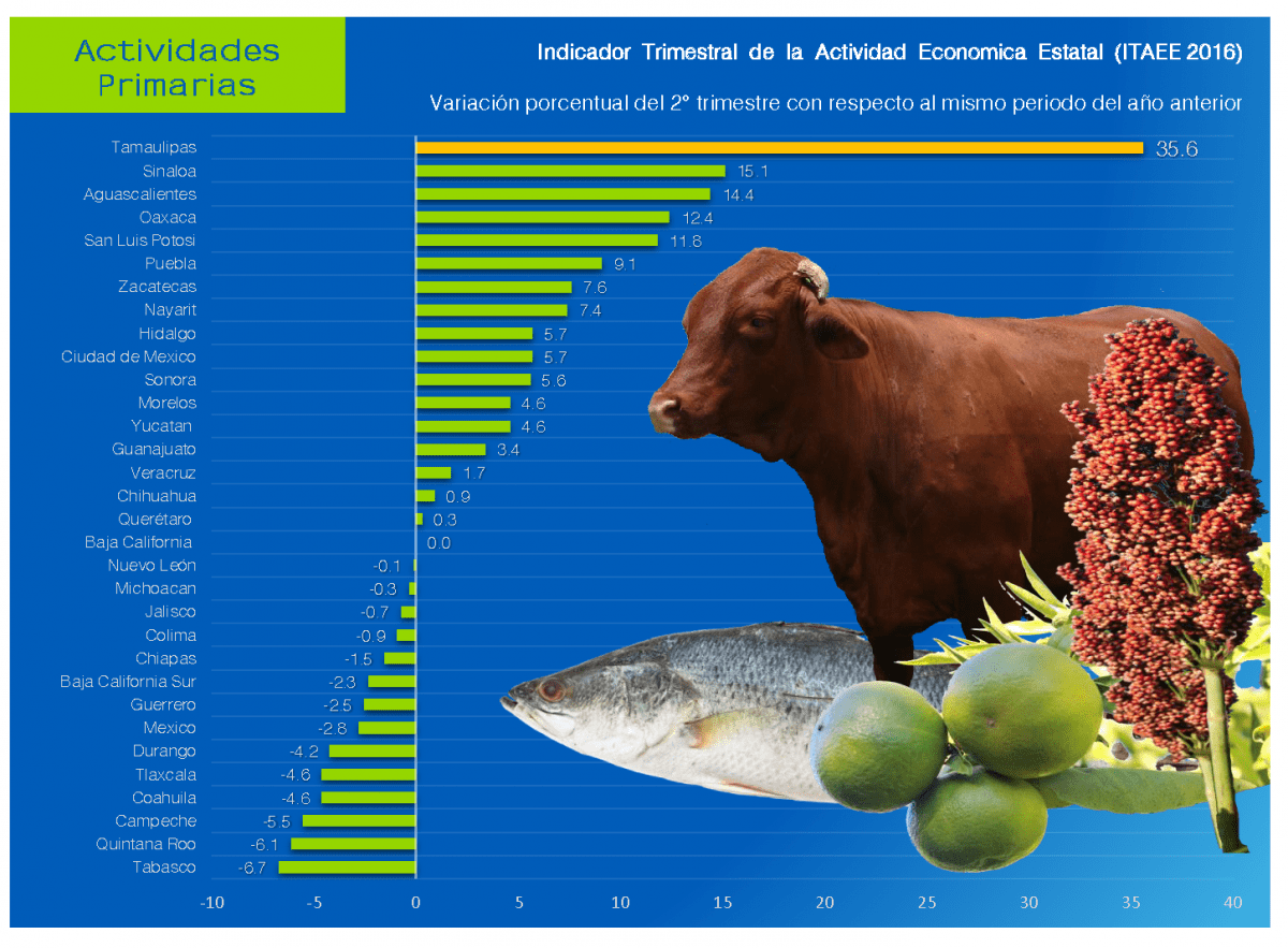 grafica-pib