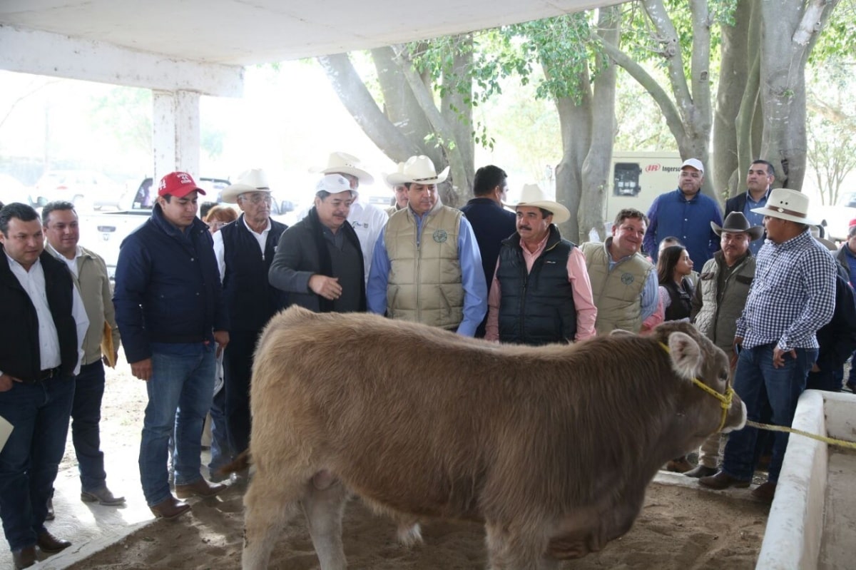 tam-061-2017-ofrece-gobernador-recuperar-la-productividad-ganadera-en-tamaulipas-3