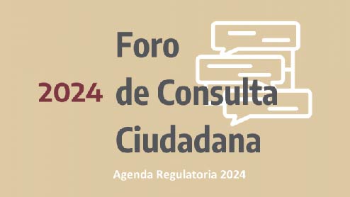 Foro de Consulta 2024