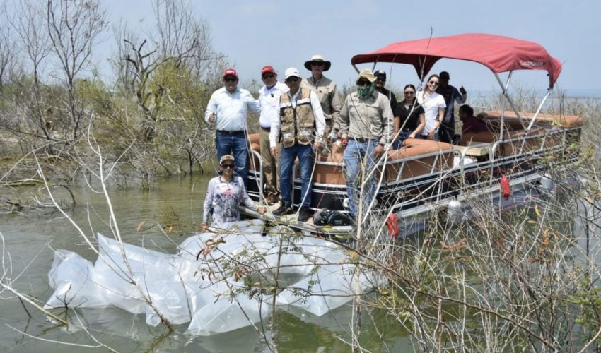 Siembran lobinas en la presa Vicente Guerrero para impulsar la pesca deportiva
