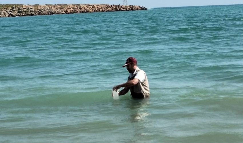Playas de Tamaulipas, aptas y seguras para recibir a turistas en el verano 2026
