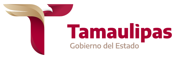 Government Comptroller - Regierung des Staates Tamaulipas