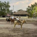 Concluyen estatales de diversas disciplinas rumbo a Olimpiada Nacional