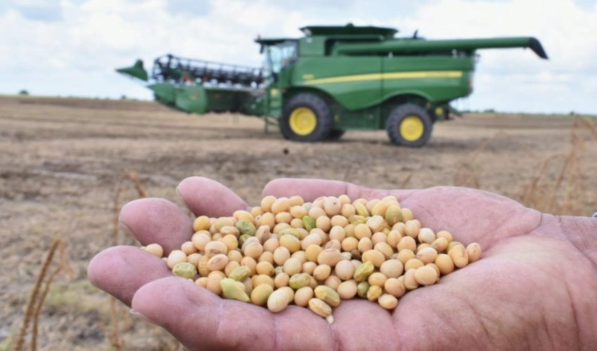 Arrancan siembras del ciclo agrícola Otoño-Invierno 2022-2023