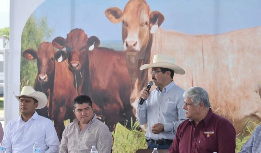 Establece sinergia Gobierno de Tamaulipas con productores agrícolas y ganaderos