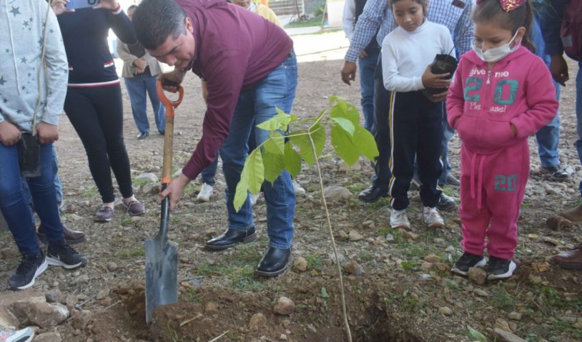 Impulsa Secretaría de Desarrollo Rural campaña de reforestación