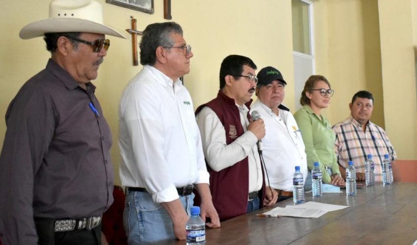 Imparte SDR Curso-Taller “Estrategias de Manejo del Huanglongbing (HLB) en los Cítricos”