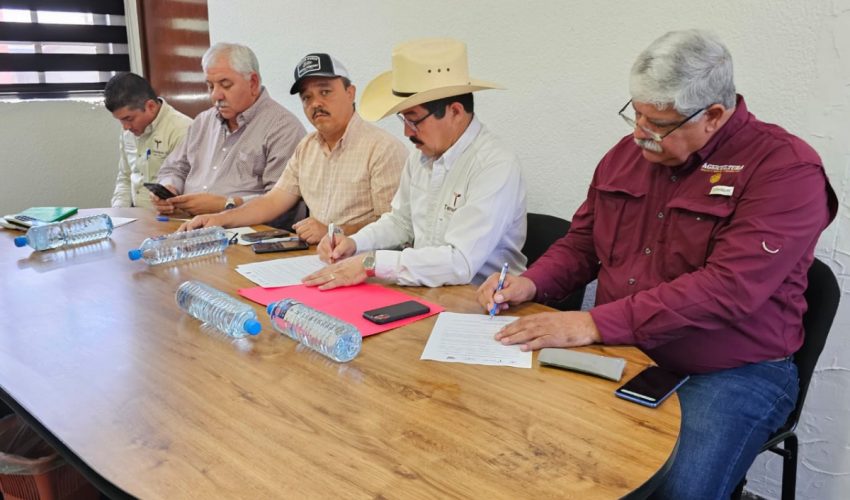 Inicia Tamaulipas barrido de tuberculosis bovina