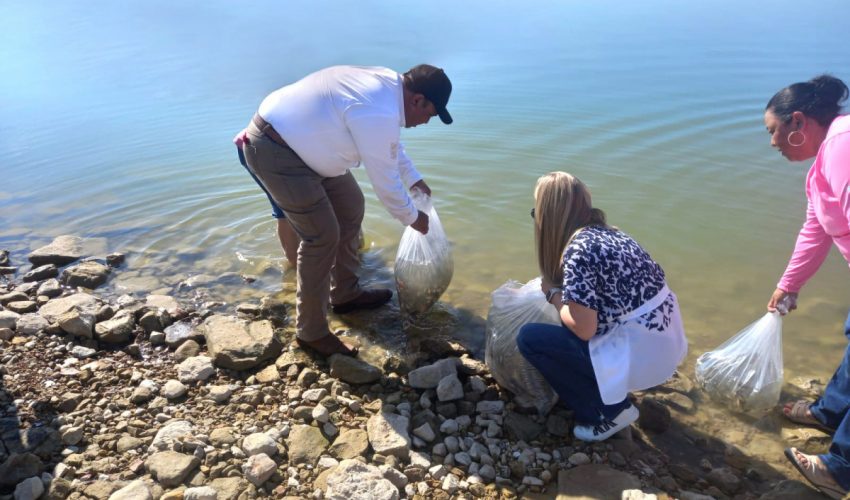 Fortalece Gobierno de Tamaulipas actividad pesquera con la siembra de 60 mil alevines