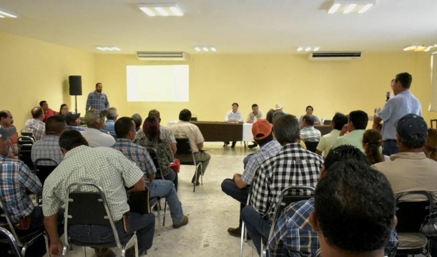 Trabajan médicos veterinarios en la recuperación del estatus sanitario