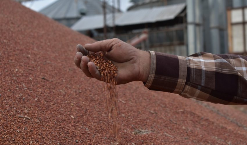 Inicia gobierno de Tamaulipas dispersión de recursos de apoyo del “Programa de Fomento a la Producción Rural 2023”