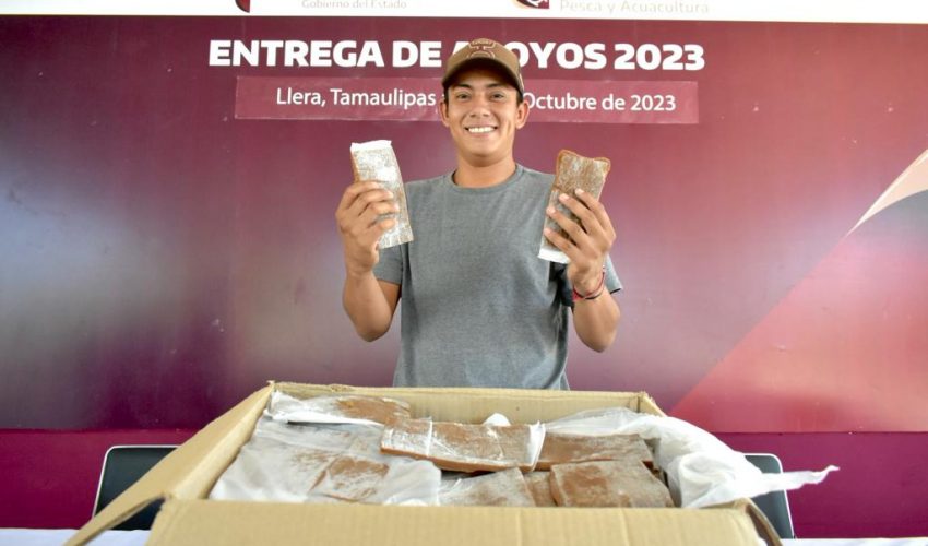 Reciben apoyo productores apícolas del municipio de Llera
