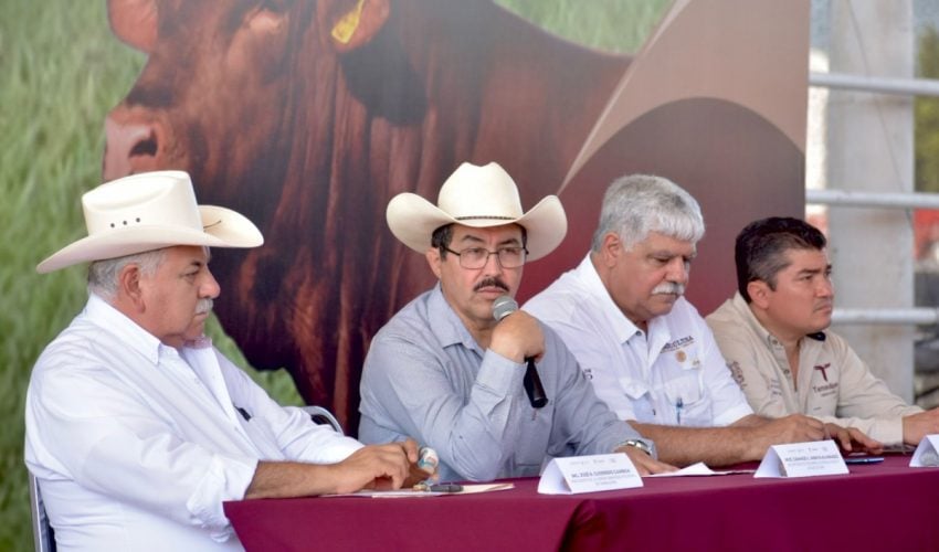 Renuevan hatos ganaderos de Tamaulipas con programa de Mejoramiento Genético