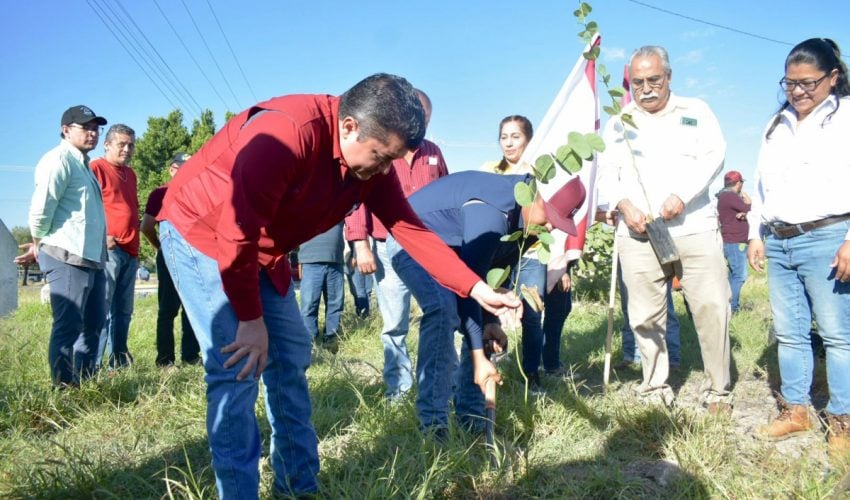 Realiza Desarrollo Rural jornada de reforestación