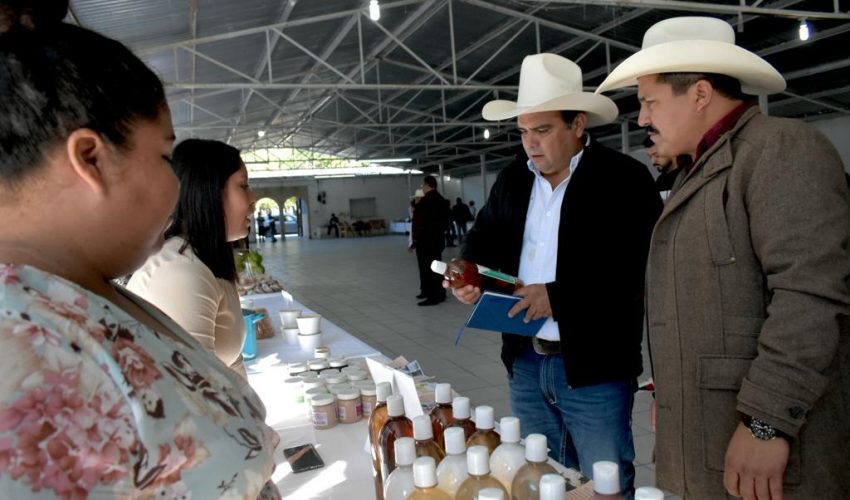 Agroproductores participan en Tianguis Rural en Jaumave