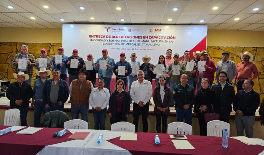 Acreditan a productores de mezcal en inocuidad