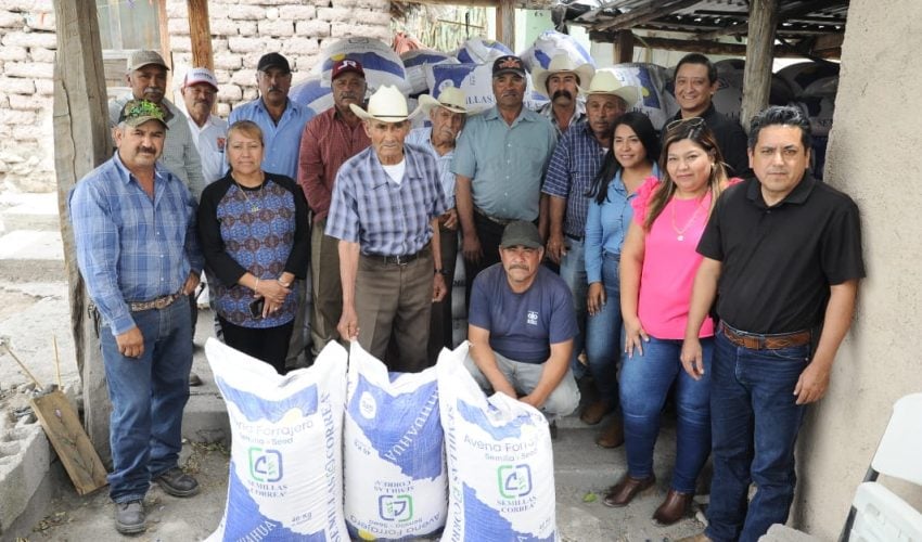 Reciben productores del altiplano semilla de avena forrajera