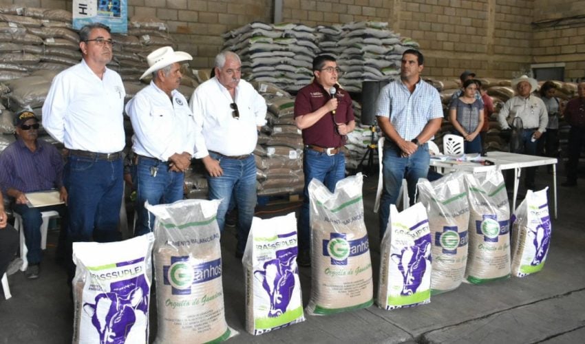 Autoriza Gobierno de Tamaulipas programa emergente para ganaderos afectados por la sequía