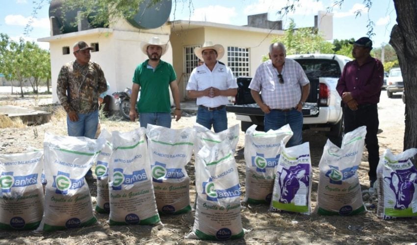 Productores de González reciben suplementos alimenticios para el ganado