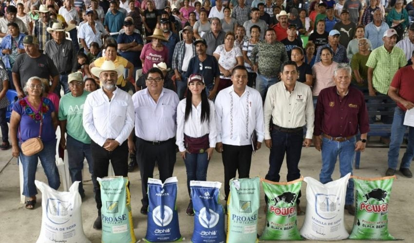 Refuerza Gobierno de Tamaulipas  apoyo al campo con entrega de semillas de alta calidad
