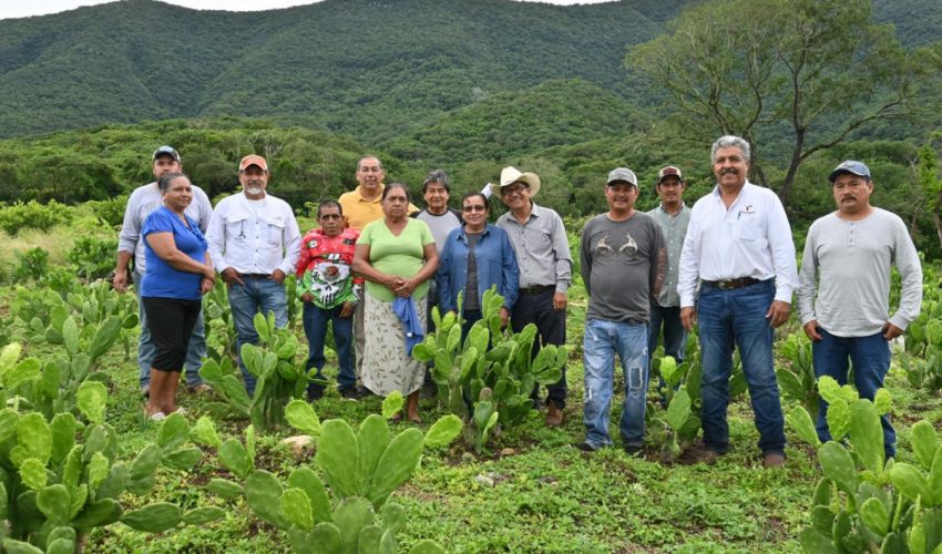 Impulsan buenas prácticas agrícolas en Gómez Farías, Llera y Xicoténcatl