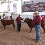 Feria Tamaulipas será sede del Segundo Concurso del Novillo Gordo