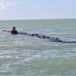 Garantiza supervisión técnica buenas prácticas acuícolas en Tamaulipas