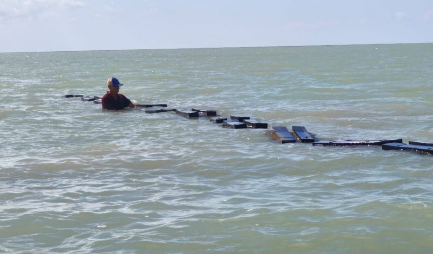 Garantiza supervisión técnica buenas prácticas acuícolas en Tamaulipas