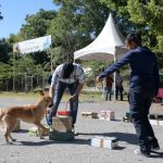 Refuerza Gobierno de Tamaulipas sanidad pecuaria con caninos especializados