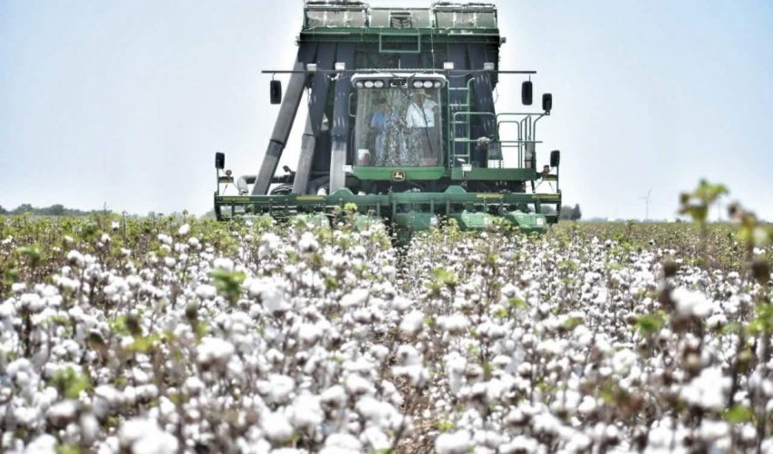 Participa Tamaulipas en reunión binacional para fortalecer la sanidad del algodón