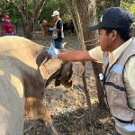 Acción inmediata y coordinación interinstitucional ante caso de GBG en Tamaulipas