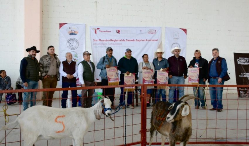 Caprinocultura y valor agregado, ejes del Festival del Cabrito 2026