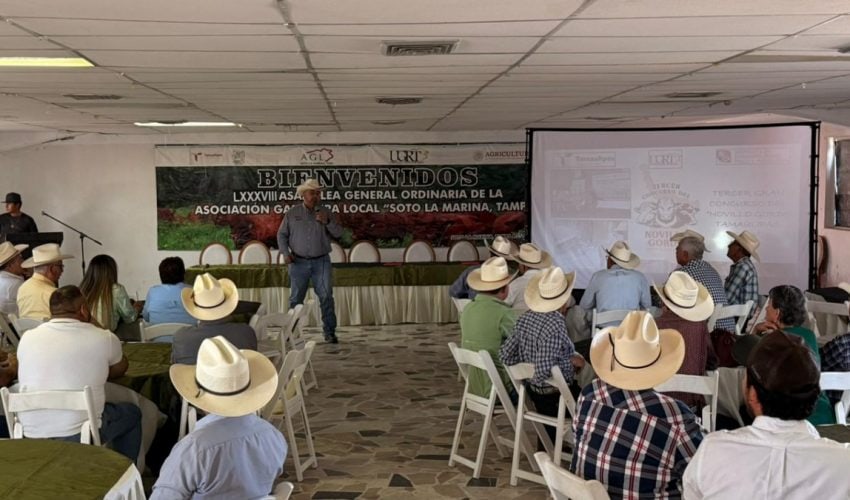 Presentan convocatoria para el “Novillo Gordo 2026”