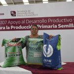 Productores podrán acceder a apoyos de semilla para cultivos estratégicos