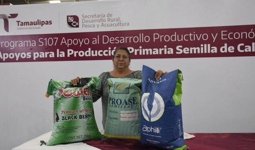 Productores podrán acceder a apoyos de semilla para cultivos estratégicos