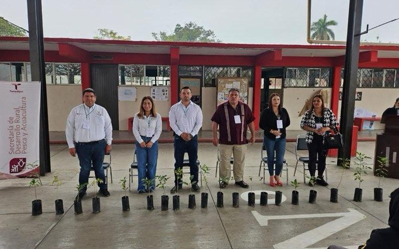 Impulsan en Tamaulipas cultura forestal desde las aulas