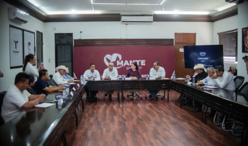 Coordinan Estado y Federación apoyos para fortalecer la producción de caña en Tamaulipas