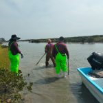 Impulsan desarrollo de granjas de ostión en Aldama y San Fernando