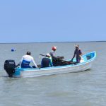 Refuerzan acciones para el crecimiento sostenible del ostión en Aldama