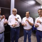 Productores tamaulipecos logran vender al 100% primera cosecha de ostión