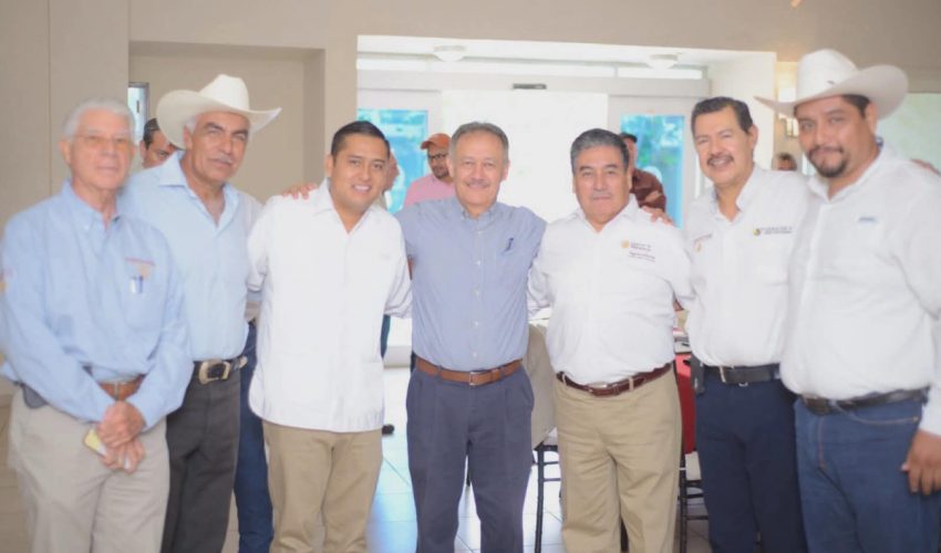 Refuerzan acciones fitosanitarias en beneficio de productores de algodón en Tamaulipas