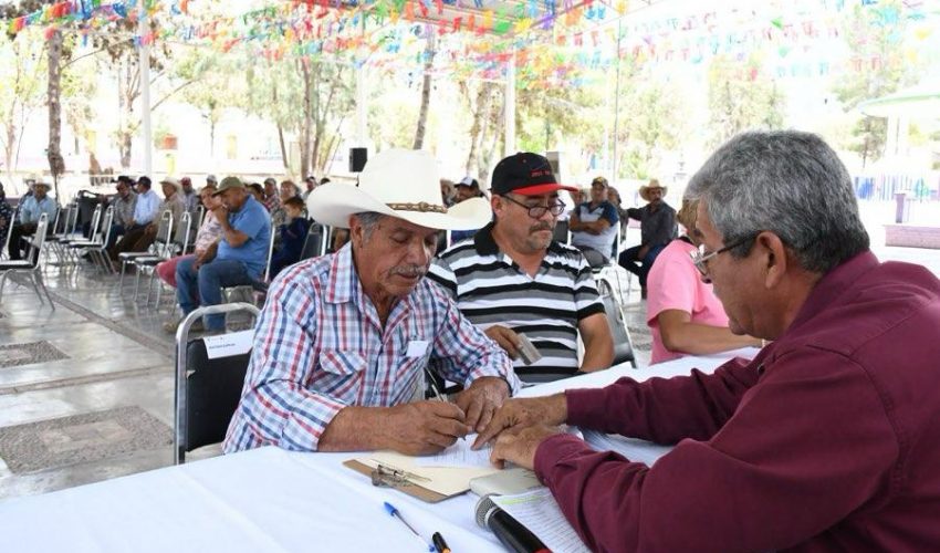 Impulsan productividad citrícola con apertura del Programa S107 2026