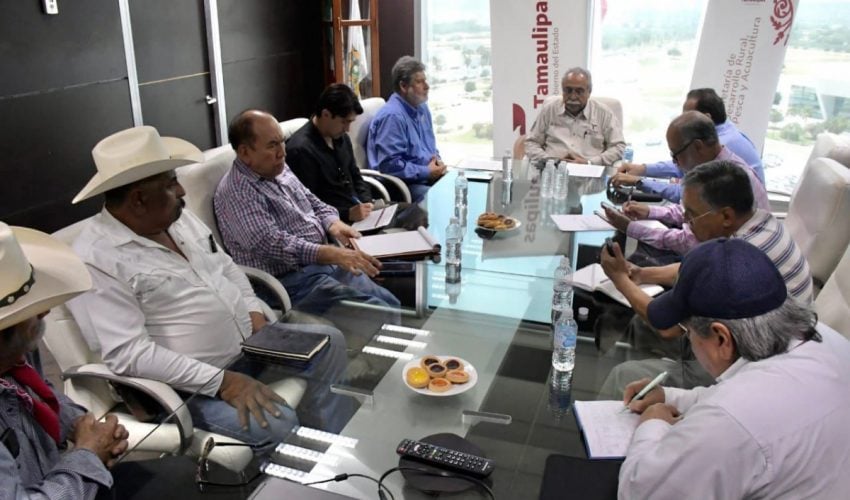 Analizan estrategias para diversificar la producción agrícola en Tamaulipas