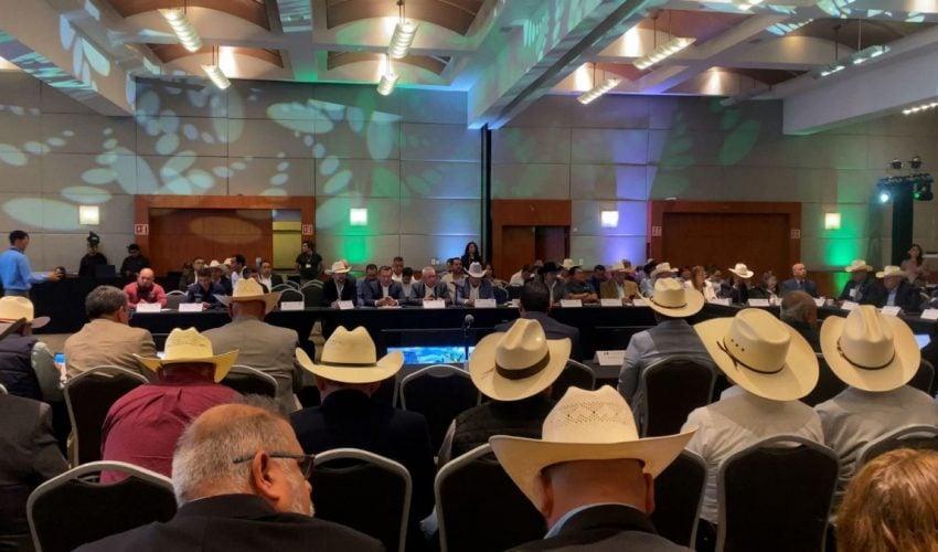 Participa Tamaulipas en reunión binacional para fortalecer sanidad pecuaria