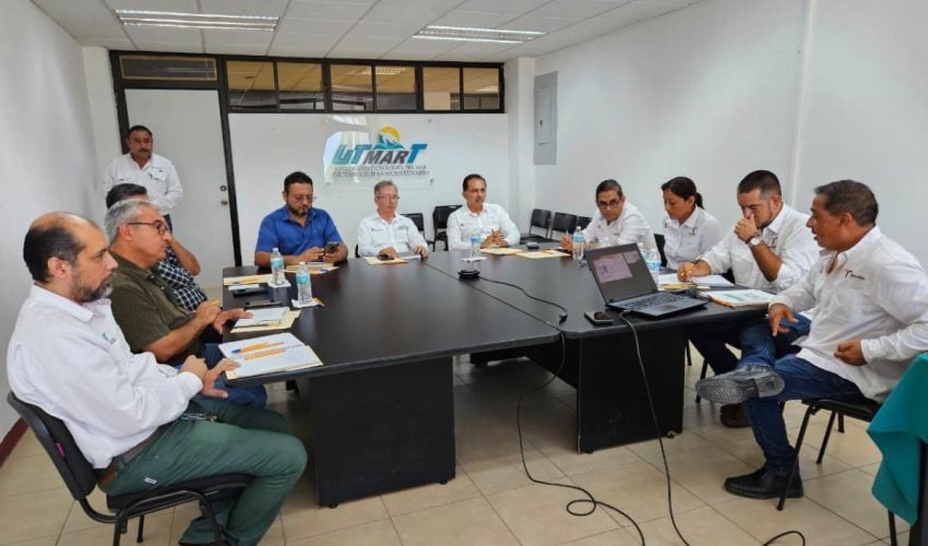 Apuestan por la ostricultura como motor de desarrollo regional y empleo
