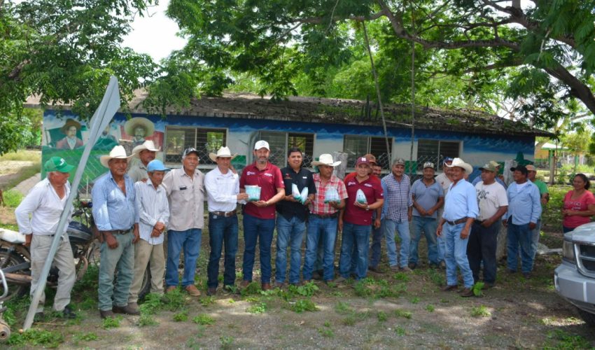 Protege trabajo coordinado a becerros recién nacidos del gusano barrenador