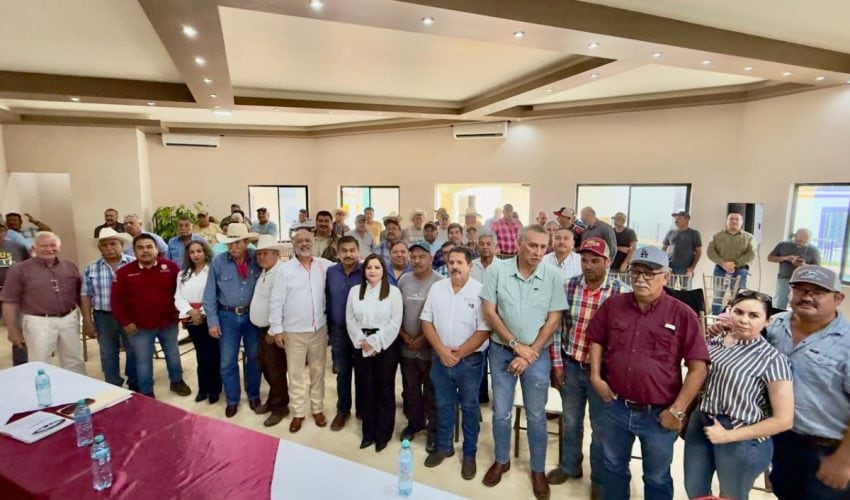 Avanza la expansión del frijol guar en el norte de Tamaulipas