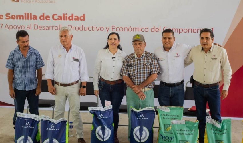 Fortalece Tamaulipas la producción agrícola con apoyos de semilla certificada