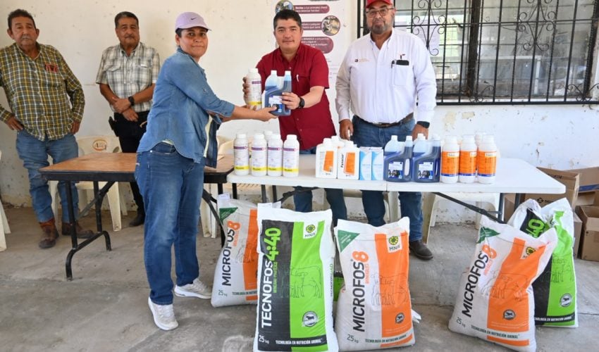 Fortalecen  la sanidad animal y la productividad del campo con apoyos pecuarios